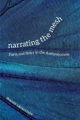 Cover of Narrating the Mesh