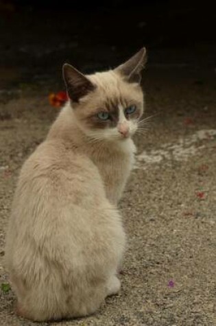 Cover of Siamese Cat Animal Journal