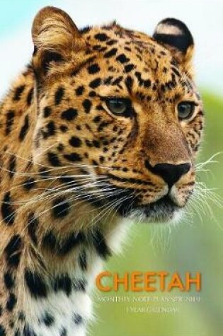 Cover of Cheetah Monthly Note Planner 2019 1 Year Calendar