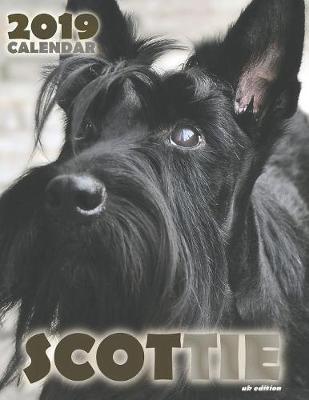 Book cover for Scottie 2019 Calendar (UK Edition)