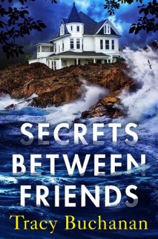 Cover of Secrets Between Friends