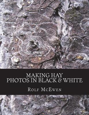 Book cover for Making Hay - Photos in Black & White