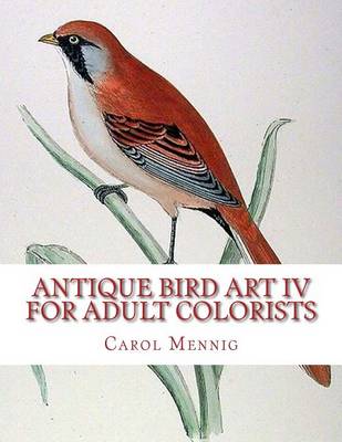 Book cover for Antique Bird Art IV - For Adult Colorists