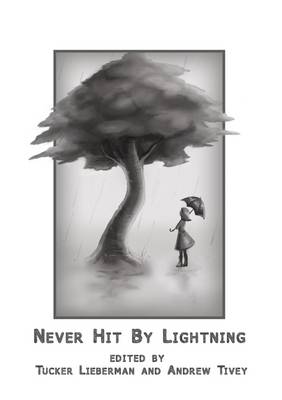 Book cover for Never Hit By Lightning