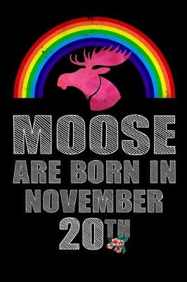 Book cover for Moose Are Born In November 20th