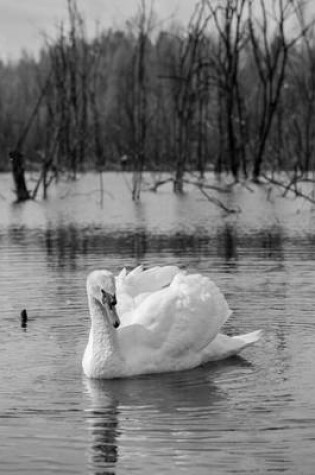 Cover of White Swan in a Winter Lake, Birds of the World