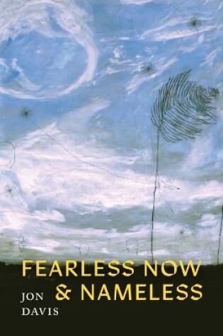 Cover of Fearless Now & Nameless