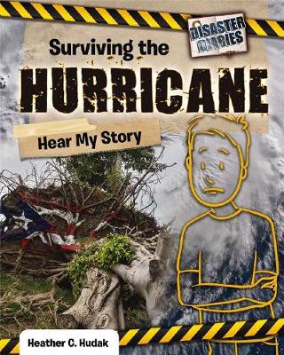 Cover of Surviving the Hurricane