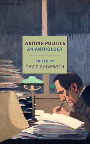 Book cover for Writing Politics