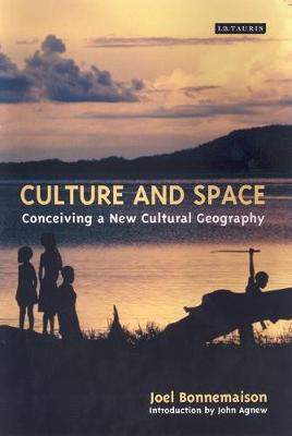 Cover of Culture and Space