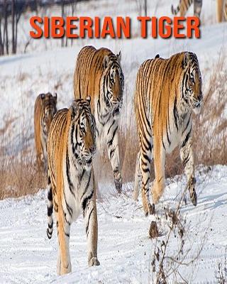 Book cover for Siberian Tiger