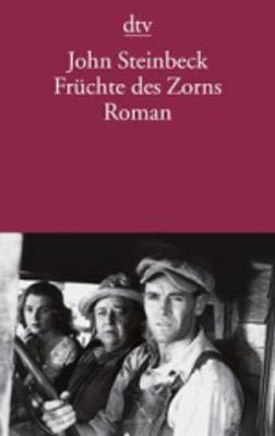 Book cover for Fruchte des Zorns