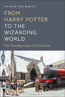 Book cover for From Harry Potter to the Wizarding World