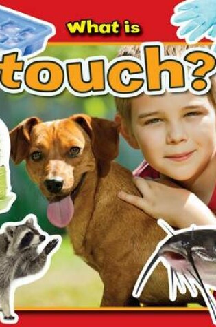 Cover of What Is Touch?