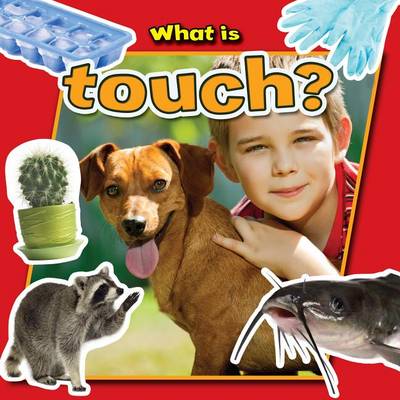 Book cover for What Is Touch?