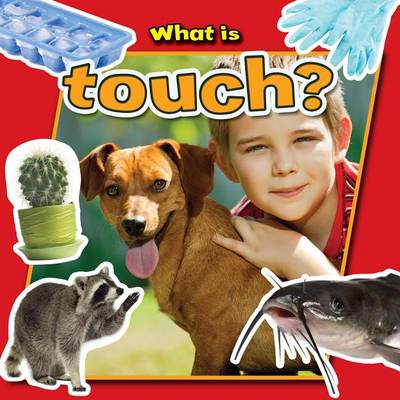 Cover of What Is Touch?