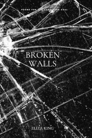 Cover of Broken Walls