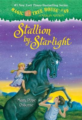 Book cover for Stallion by Starlight