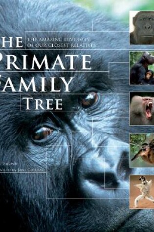 Cover of The Primate Family Tree