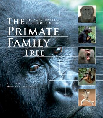 Book cover for The Primate Family Tree