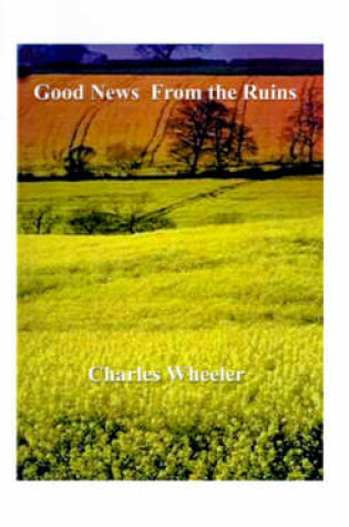 Cover of Good News from the Ruins