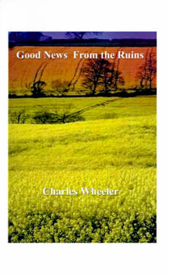 Book cover for Good News from the Ruins