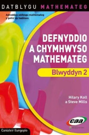 Cover of Datblygu Mathemateg: Defnyddio a Chymhwyso Mathemateg Blwyddyn 2