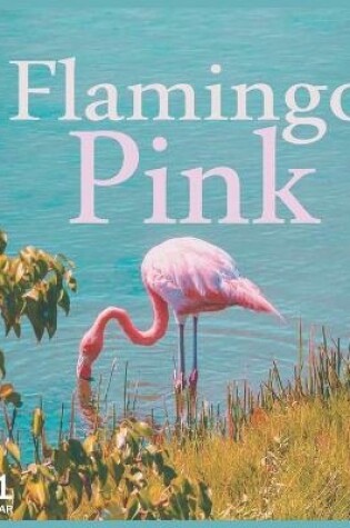 Cover of Flamingo Pink