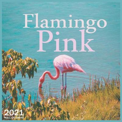 Book cover for Flamingo Pink