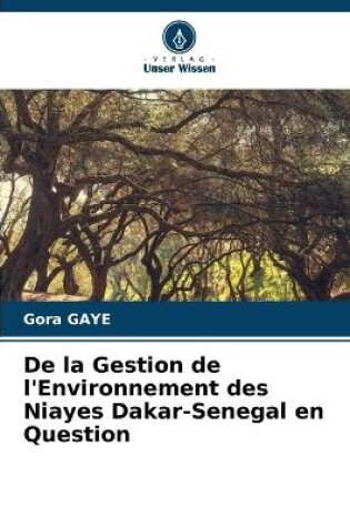 Cover of De la Gestion de l'Environnement des Niayes Dakar-Senegal en Question