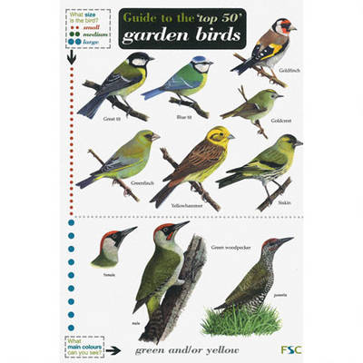 Book cover for Guide to the Top 50 Garden Birds