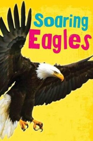 Cover of Soaring Eagles