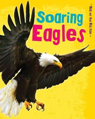 Book cover for Soaring Eagles