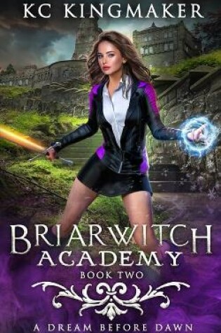 Cover of Briarwitch Academy 2
