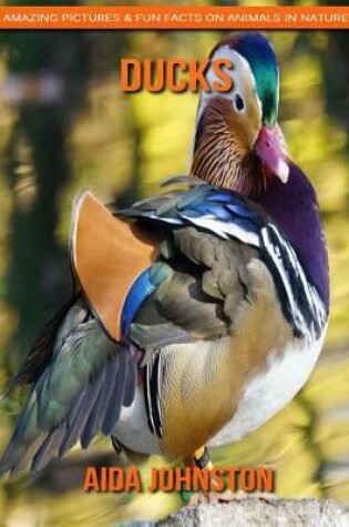 Cover of Ducks