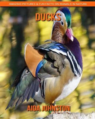 Book cover for Ducks