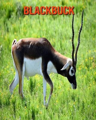 Book cover for Blackbuck