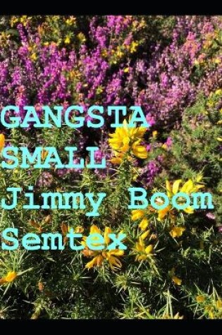 Cover of Gangsta Small