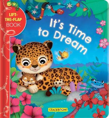 Book cover for It's Time to Dream: A Lift-the-Flap Book