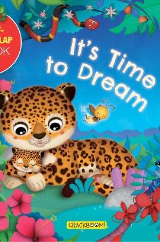 Cover of It's Time to Dream: A Lift-the-Flap Book