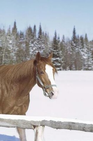 Cover of Journal Horse Winter Scenery