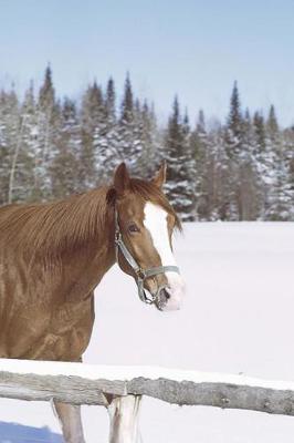 Book cover for Journal Horse Winter Scenery