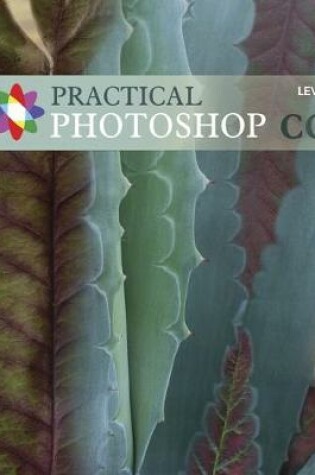 Cover of Practical Photoshop CC Level 1
