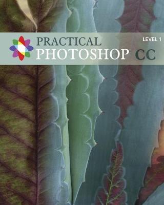 Book cover for Practical Photoshop CC Level 1