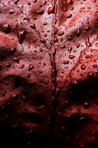 Cover of A Wet Red Leaf