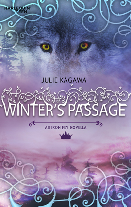 Book cover for Winter's Passage