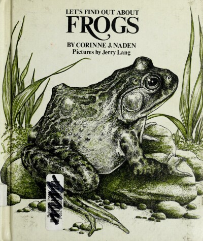 Book cover for Let's Find Out about Frogs,