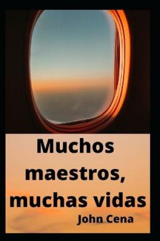 Cover of Muchos maestros, muchas vidas