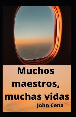 Book cover for Muchos maestros, muchas vidas