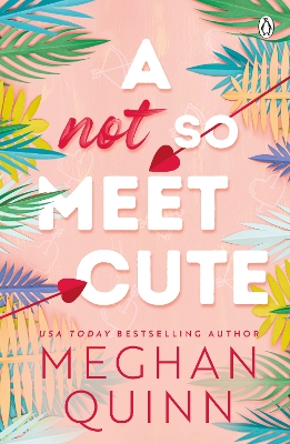 Book cover for A Not So Meet Cute